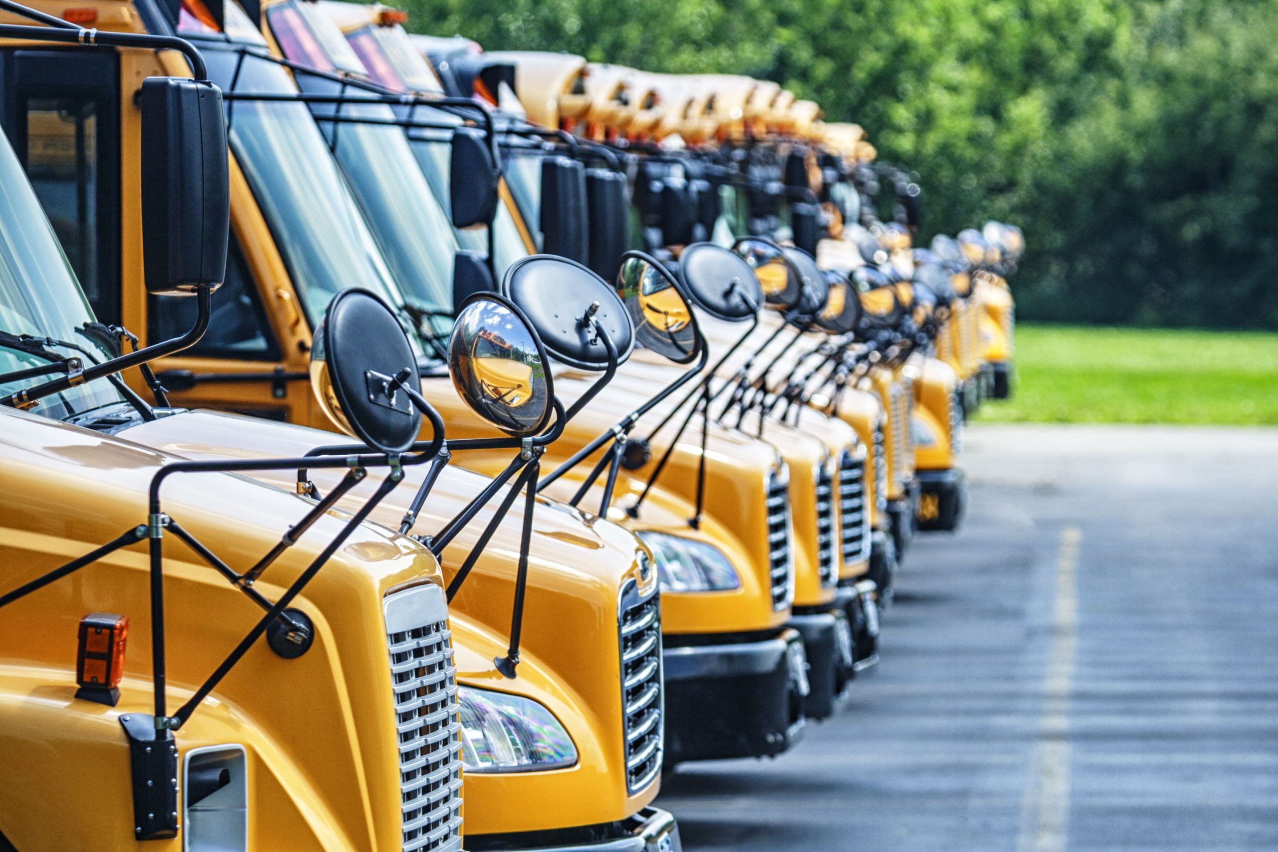 Front of a row of buses parked