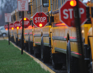 Line of buses with their stop signs out