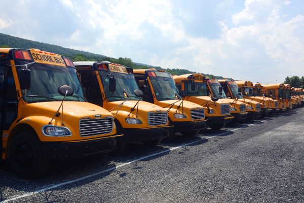 Row of Used School Buses
