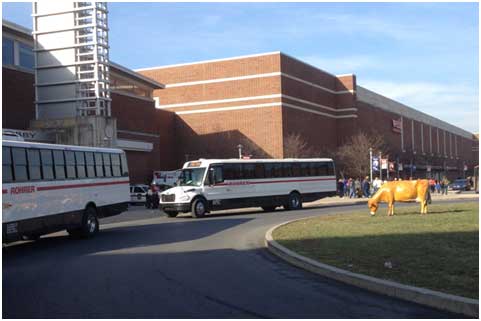 Rohrer buses in front of special event